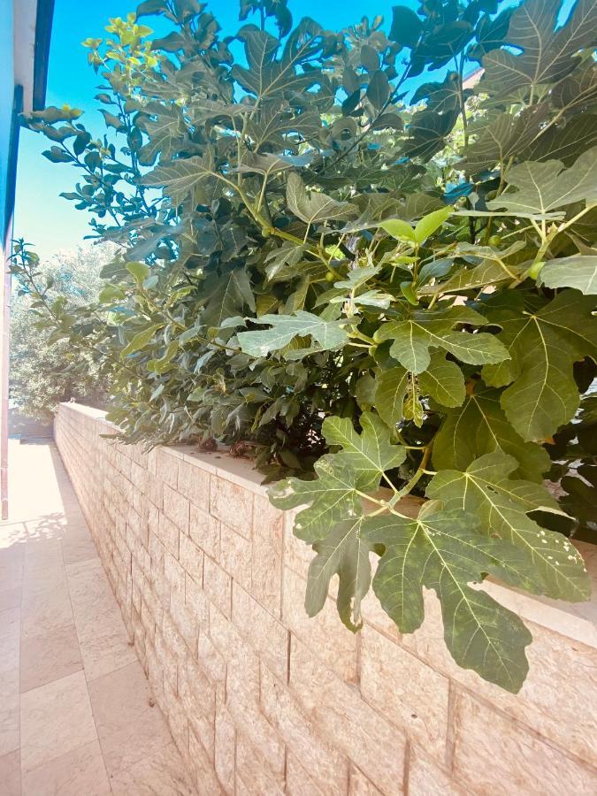 Hotel Buenavista Beach House Trogir Mastrinka Extérieur photo